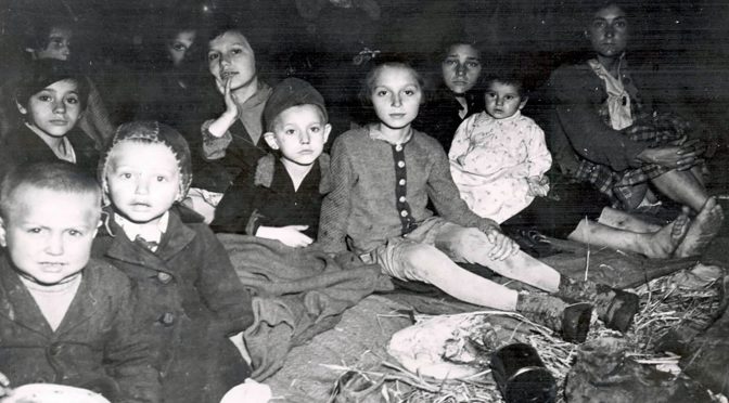 Child Survivors of the Holocaust photo Yad Vashem